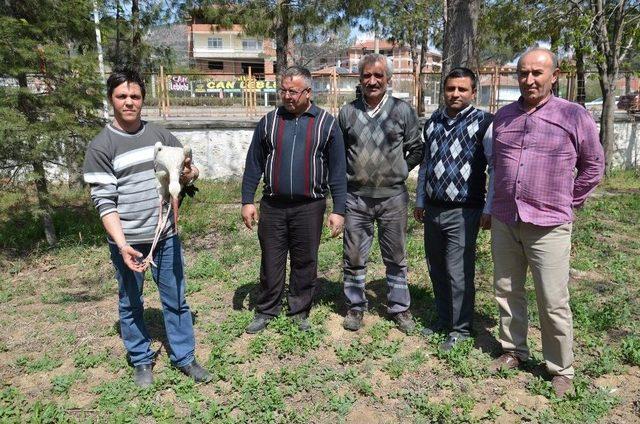 Yaralı Leyleğe Karayolları İşçileri Sahip Çıktı