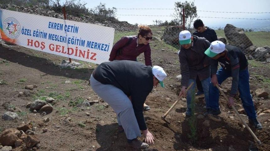 Engelsiz Yaşam İ&ccedil;in &Ouml;zel &Ouml;ğrenciler Fidan Dikti