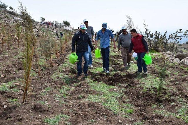 Engelsiz Yaşam İçin Özel Öğrenciler Fidan Dikti