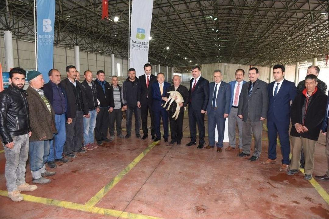 B&uuml;y&uuml;kşehirden Hayvancılığa Destek