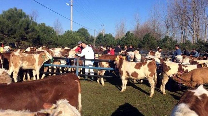 Gıda, Tarım Ve Hayvancılık İ&ccedil;in 8 Milyonluk Proje