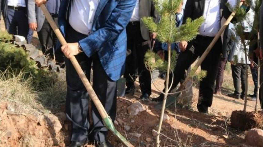 Aksaray Zabıtasından Şehitler Anısına Fidan