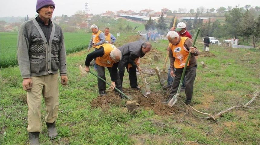 Malkara&rsquo;da 250 Fidan Toprakla Buluştu