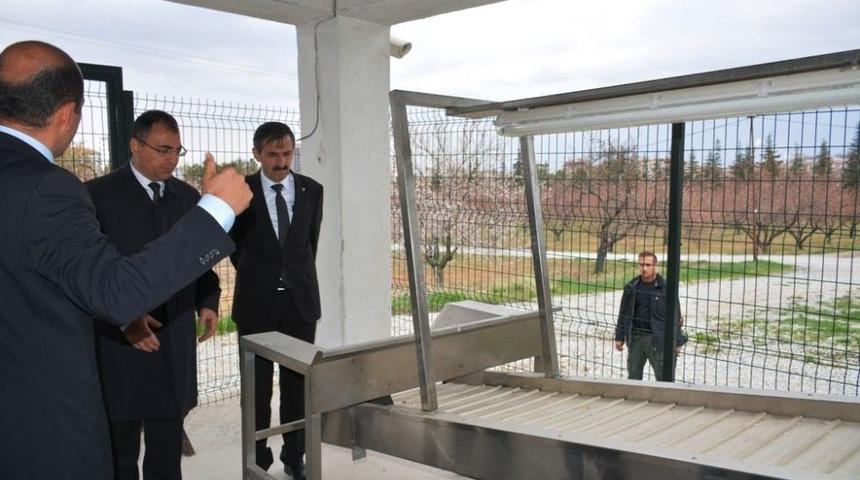 Kayısıda Yeni Sistem