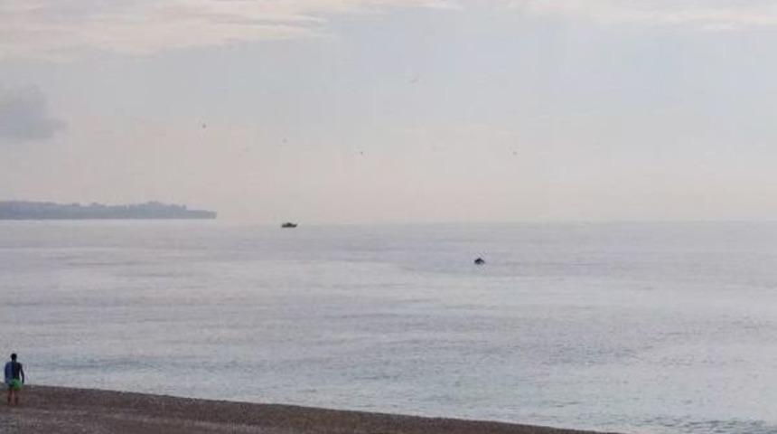 Konyaaltı Sahilinde Yunus Heyecanı