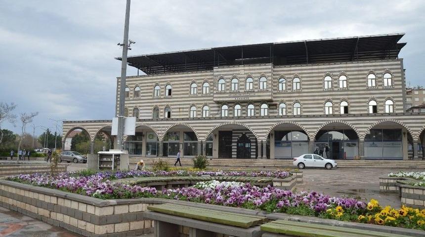 Kamelyalar Ve Oturma Bankları Yenileniyor