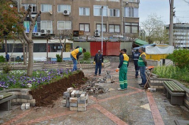 Kamelyalar Ve Oturma Bankları Yenileniyor