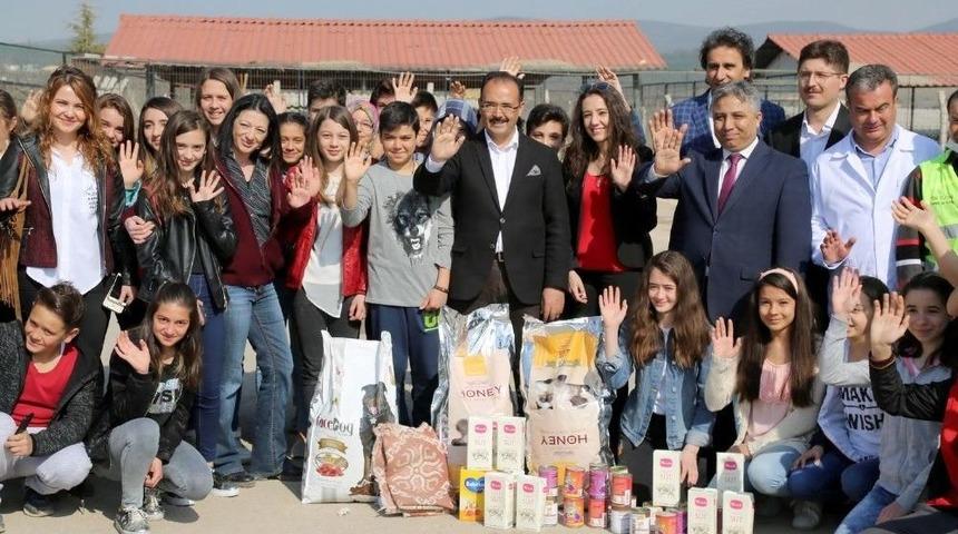 Har&ccedil;lıklarını Biriktirdiler Hayvan Barınağına Destek Oldular