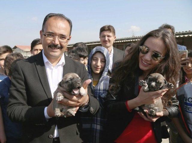 Harçlıklarını Biriktirdiler Hayvan Barınağına Destek Oldular