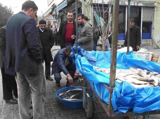 Varto’da Vatandaşlar Balığa Yöneldi