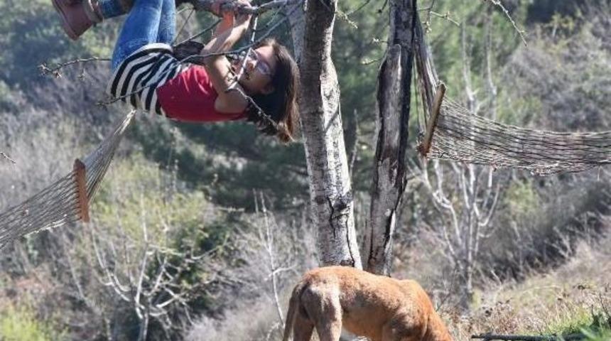 Hayvansever Aileden Doğa I&ccedil;inde Hayvan Bakım Merkezi