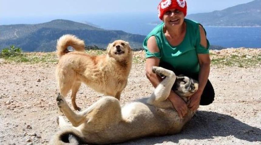 Hayatını Sokak Hayvanlarına Adadı