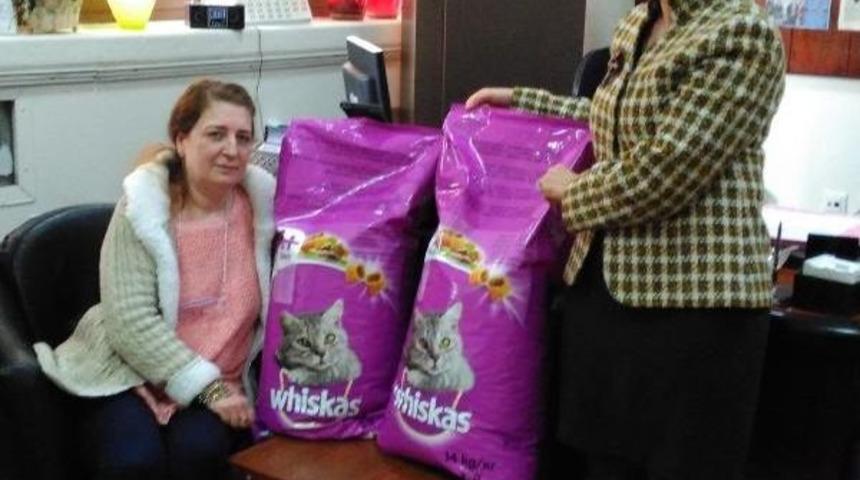 Kadınların Kavgası, Sokak Kedilerine Yaradı