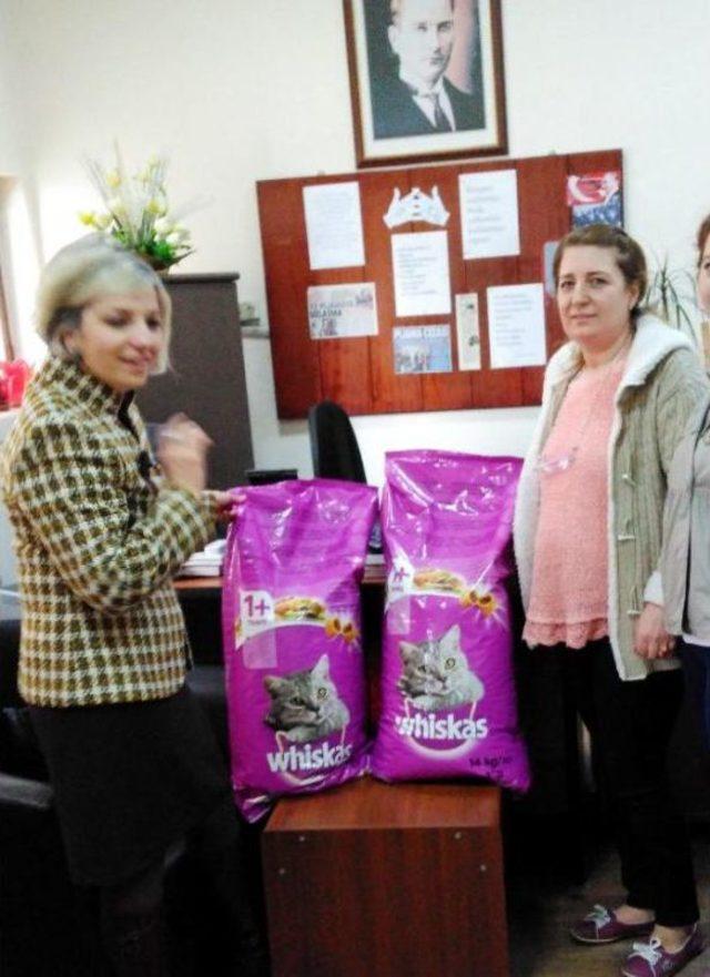 Kadınların Kavgası, Sokak Kedilerine Yaradı 1