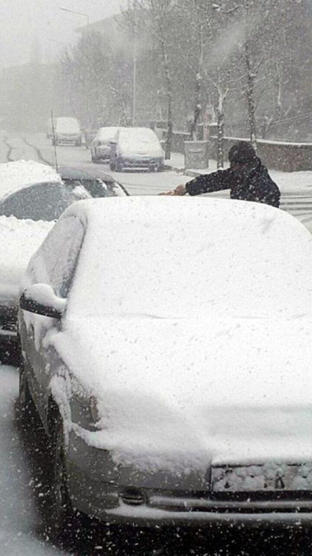 Erzurum Beyaza B&uuml;r&uuml;nd&uuml; 2