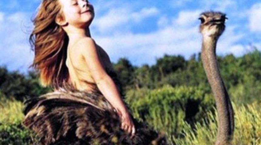 &Ccedil;ocuklara Hayvan Sevgisi Verin