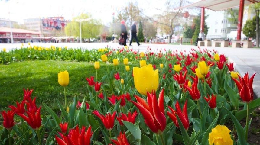 Sincan&rsquo;da Baharın M&uuml;jdecisi Laleler