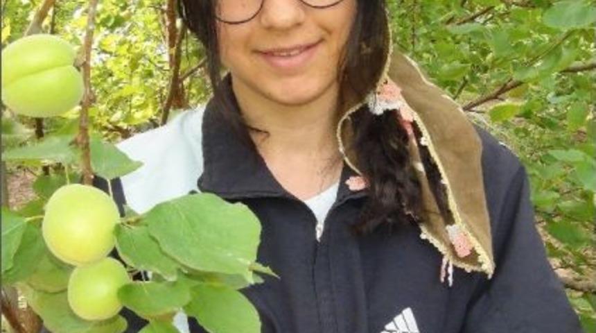 Yılın İlk &Ouml;rt&uuml; Altı Kayısı Hasadı Yapıldı