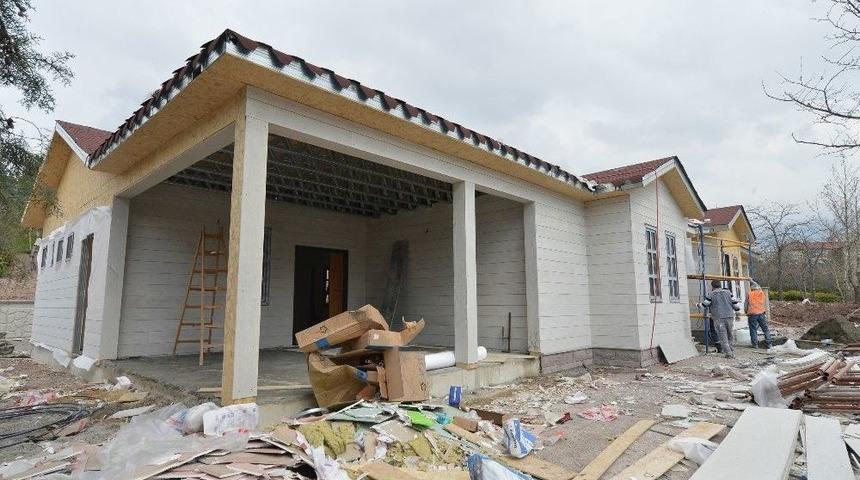 B&uuml;y&uuml;kşehirden, Kırşehirlilere Bahar Hediyesi