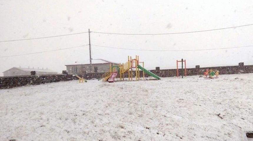 Ardahan Beyaza B&uuml;r&uuml;nd&uuml;