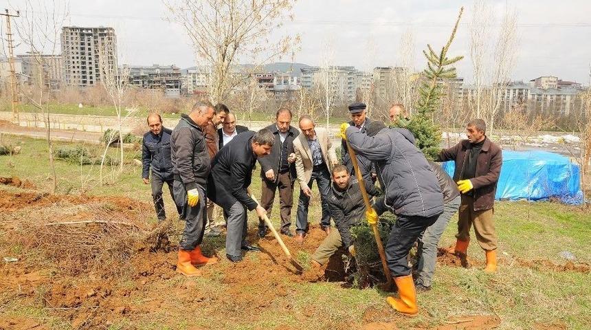 Muş&rsquo;ta Fidan Dikimi