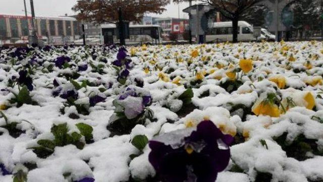Erzincanlılar'a Nisan'da Kar Sürprizi