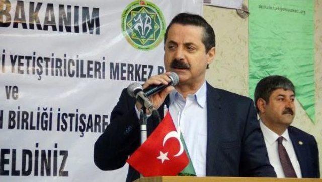 Bakan Çelik: 250 Bin Ton Et Üretilirse, Ithalat Olmayacak 3