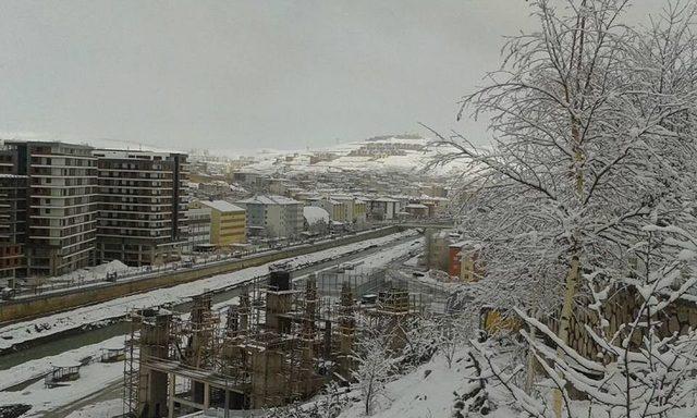 Bayburt Beyaza B&uuml;r&uuml;nd&uuml; 1