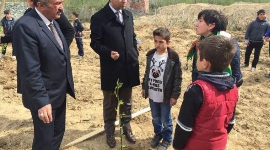 Y&ouml;reye Has Armut Dikimi Ger&ccedil;ekleştirdiler