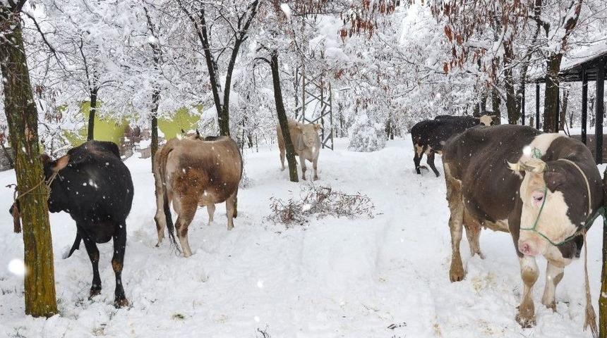 Kahramanmaraş&rsquo;ta 200 Yıldır S&uuml;ren Gelenek