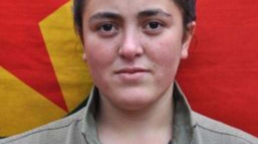 &lsquo;gri&rsquo; Listede Aranan Ter&ouml;rist Hava Harekatında &Ouml;ld&uuml;r&uuml;ld&uuml;