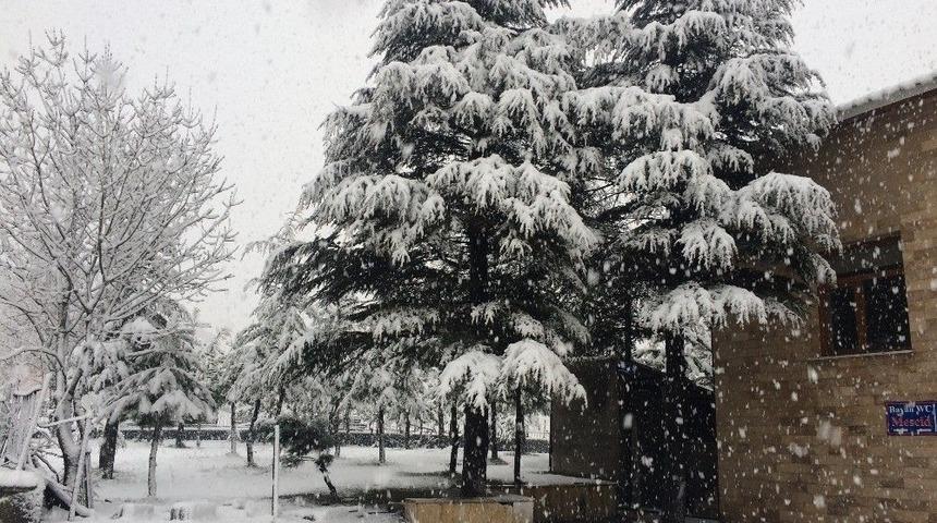 Bitlis&rsquo;te Nisan Ayında Lapa Lapa Kar Yağdı