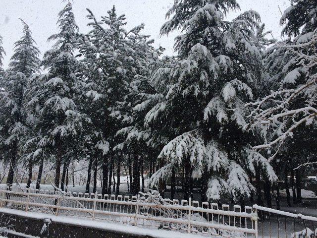 Bitlis’te Nisan Ayında Lapa Lapa Kar Yağdı