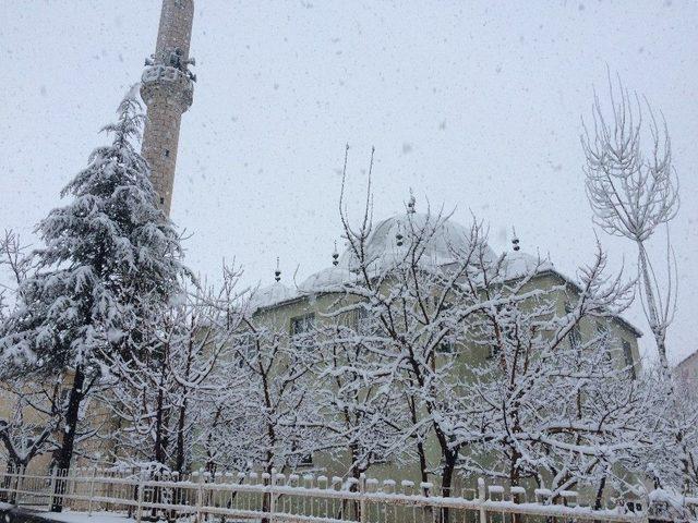 Bitlis’te Nisan Ayında Lapa Lapa Kar Yağdı