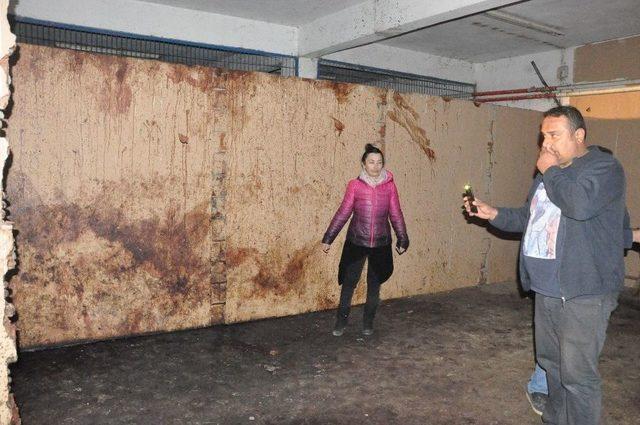 (özel Haber) Özel Arazide Kesilmiş At Ve Eşek Kafaları Bulundu 2