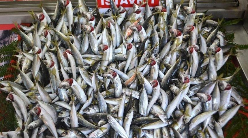 Balık&ccedil;ıların Umudu 1 Eyl&uuml;l&rsquo;e Kaldı