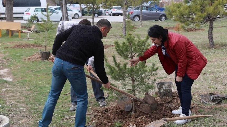 Sivas&rsquo;ta &rsquo;epilepsi Farkındalığı Hatıra Ormanı&rsquo; Oluşturuldu