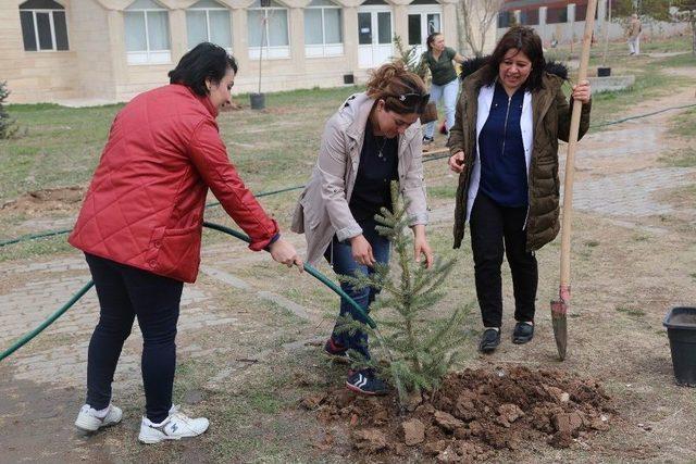 Sivas’ta ’epilepsi Farkındalığı Hatıra Ormanı’ Oluşturuldu