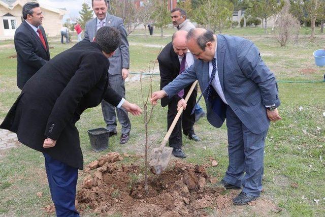 Sivas’ta ’epilepsi Farkındalığı Hatıra Ormanı’ Oluşturuldu