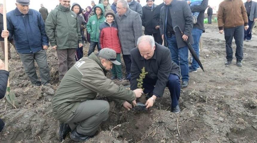 K&uuml;tahya&rsquo;da 3 Bin Fidan Toprala Buluştu