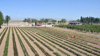 Tuzlukçu Fidanlığı İstihdama Ve Üretime Katkı Sağlıyor