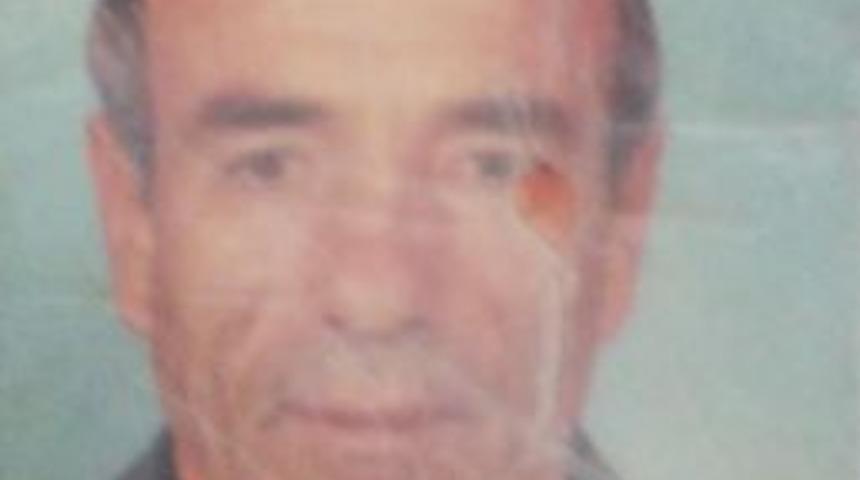 Kestiği Dut Ağacının Altında Kalıp &Ouml;ld&uuml;