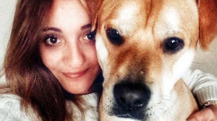 Sokak Sokak Kaybolan Köpeği Jelibon'u Arıyor