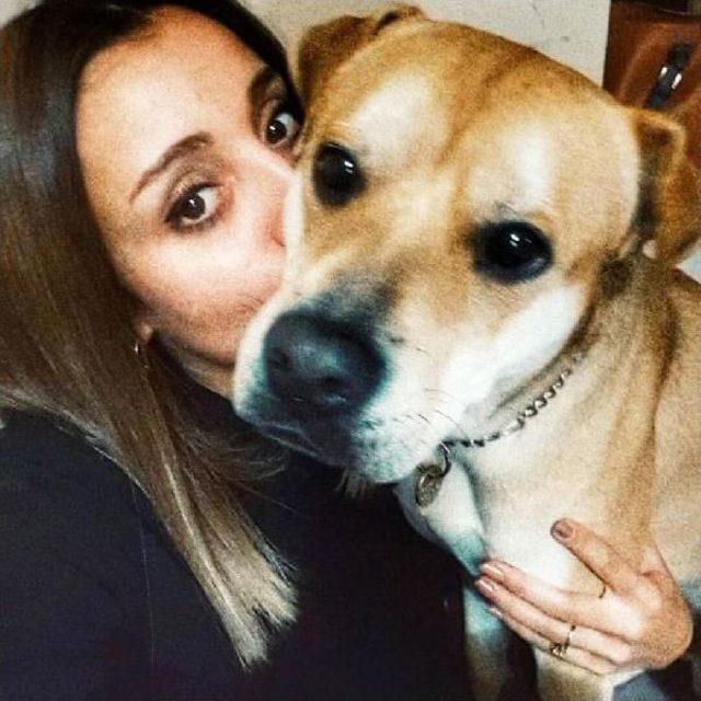 Sokak Sokak Kaybolan Köpeği Jelibon'u Arıyor