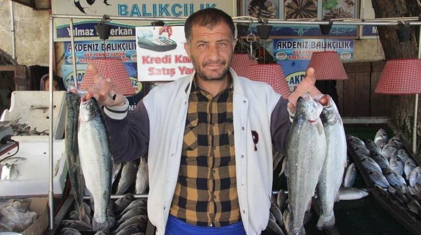 Kilis&rsquo;te Balık Satışlarında Son Haftaya Girildi
