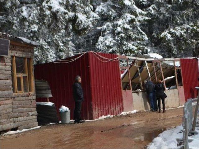 Artvin de Maden Karşıtlarına Nöbet Kulübesi Için ormanı Işgal Davası Açıldı 1