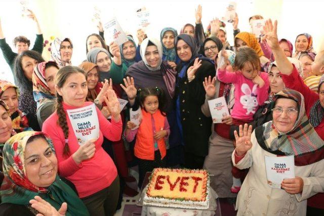 Halk Oylamasına Doğru 1