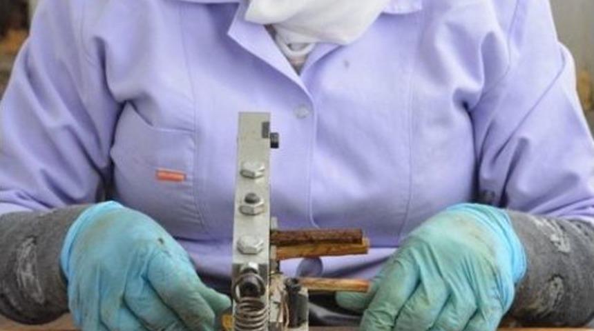 2018 &Uuml;retim Sezonu Aşılı Asma Fidanı &Ccedil;alışmaları Başladı