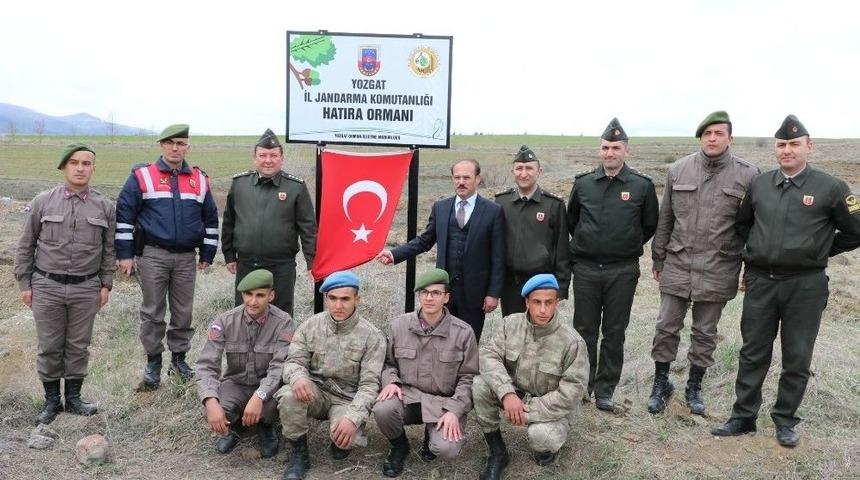 Yozgat’ta Jandarma Ekipleri Hatıra Ormanı Oluşturdu