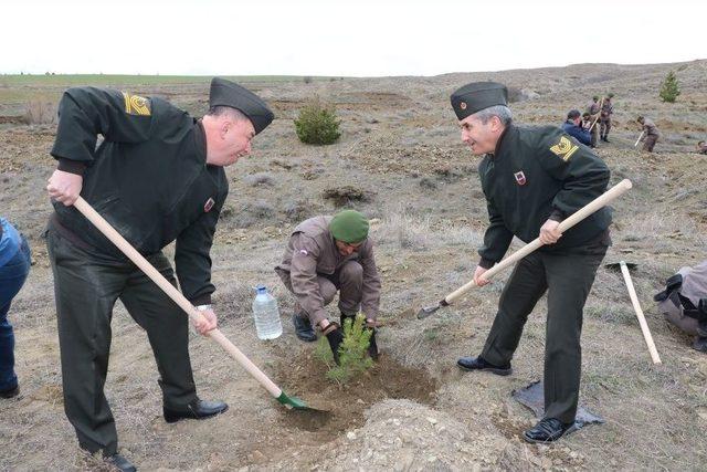 Yozgat’ta Jandarma Ekipleri Hatıra Ormanı Oluşturdu